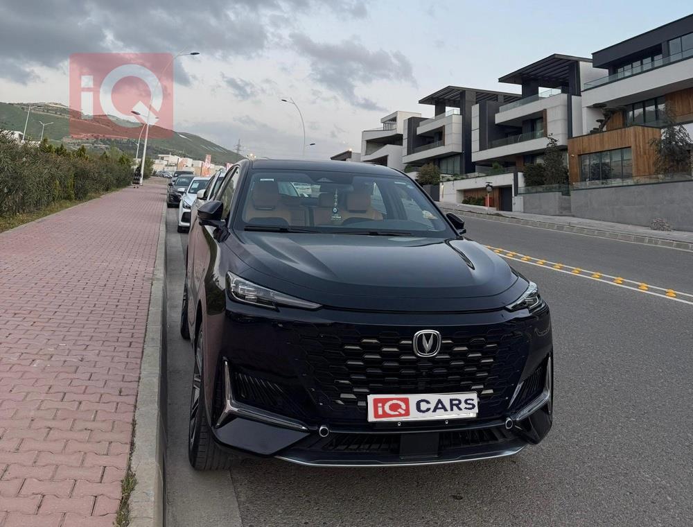 شانجان للبيع في العراق